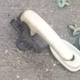 Image for article titled These 50 Obscure Car Questions From Jalopnik's Virtual Car Trivia Night Will Stump You